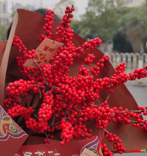 冬青树的花语——寄托希望与爱（冬青树的花语解读及寓意）