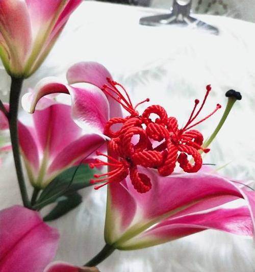 粉色曼珠沙华花语（探寻曼珠沙华花的美丽与深意）
