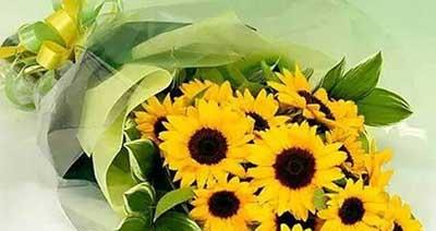 送给老师的花与花语——传达师恩感激之情（表达心意的花束）