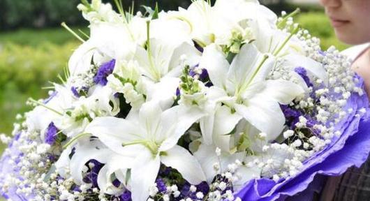 白百合花的象征意义（探索送白百合花的意义与文化背景）