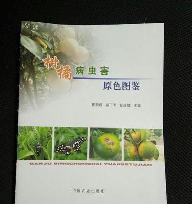 柑橘病虫害防治技术与方法（保护柑橘健康成长的实用措施）