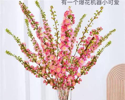 干枝花的养殖方法详解（打造高雅精致的家居环境）