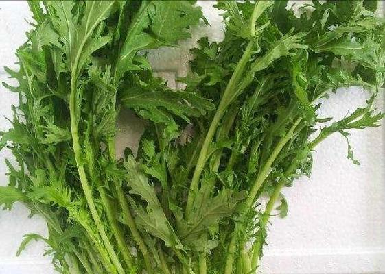 高菜和雪菜——同为腌菜，你知道它们的区别吗（区分高菜和雪菜的三个关键点）