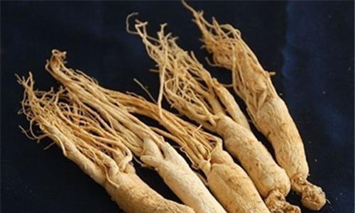 高丽参的功效与作用（探究高丽参的营养价值及食用方法）