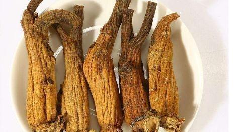 高丽参的功效与作用（探究高丽参的营养价值及食用方法）