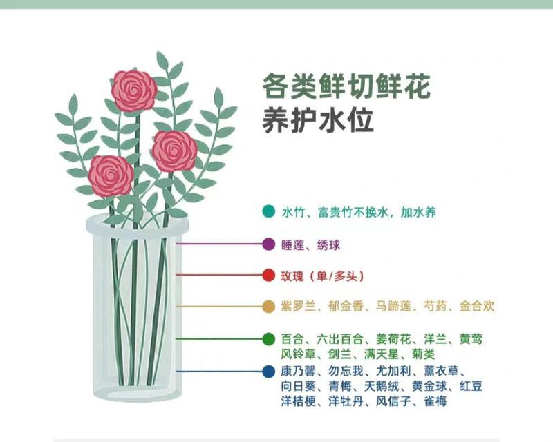 鸽子蛋上盆法（鸽子蛋的养殖技巧及上盆步骤）