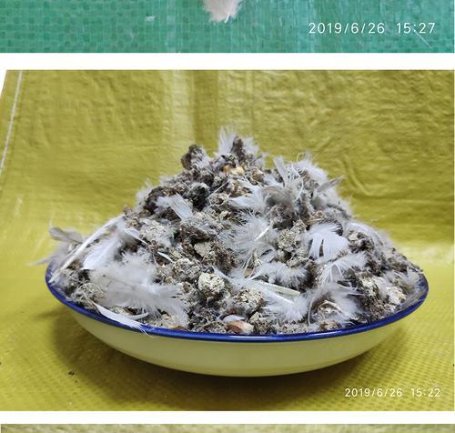 鸽子屎肥料——天然有机肥料的优质选择