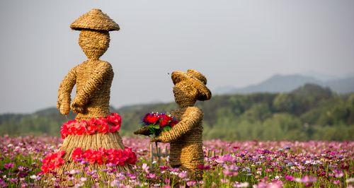 大波斯菊花语——美丽与祝福的传递（绽放于花海中的神秘之语）