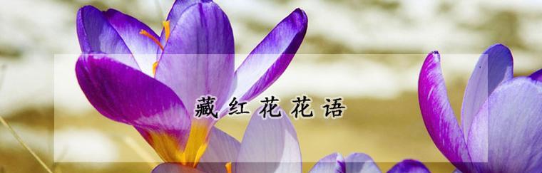 璀璨花海（引领幸福之路的赤金之花）