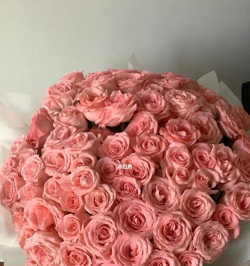 玫瑰花语（揭秘花束中的感情告白）