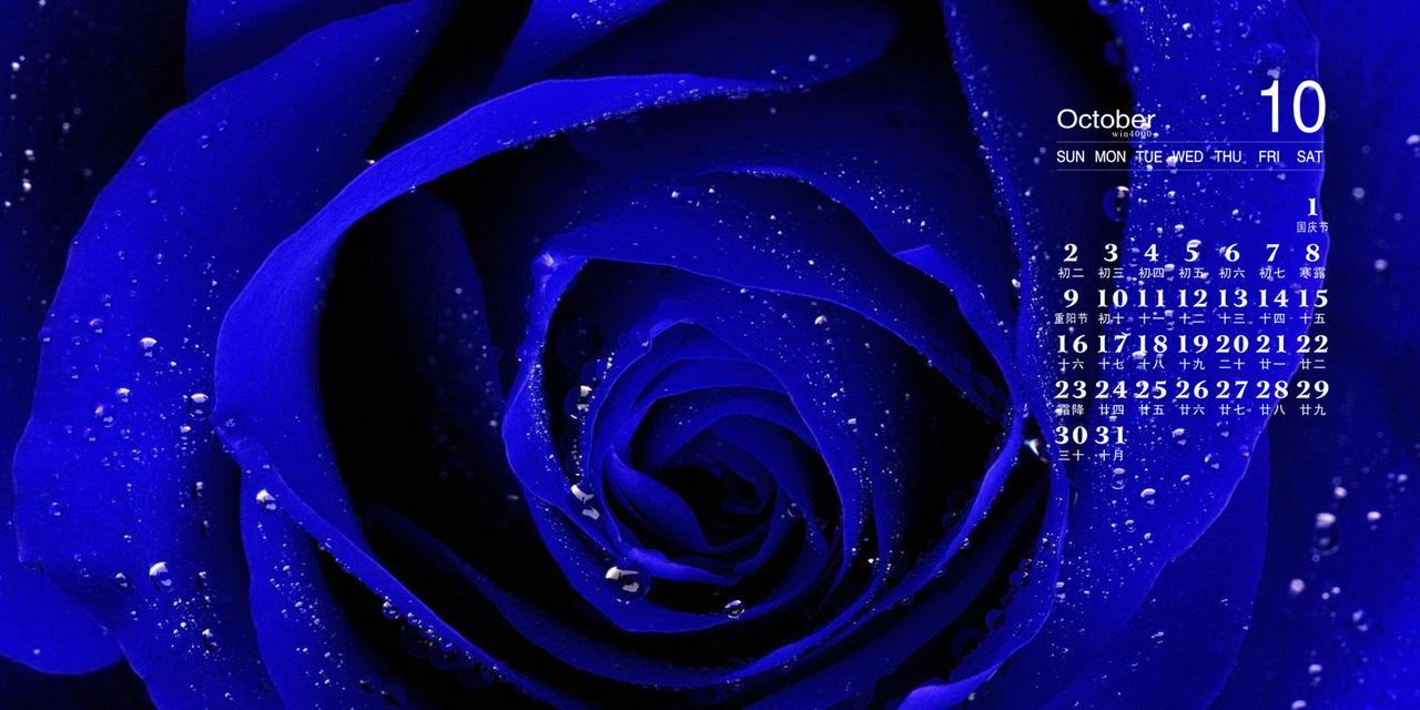 世界花园中的绚丽玫瑰花语（探索不同颜色玫瑰的意义与象征）