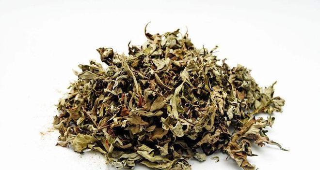 艾叶上火还是降火？艾叶的正确使用方法是什么？