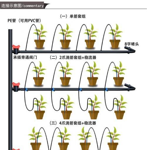 澳梅水培养殖方法是什么？如何正确进行澳梅的水培？