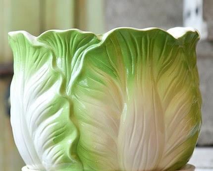 白菜怎么种？最佳种植时间是什么时候？