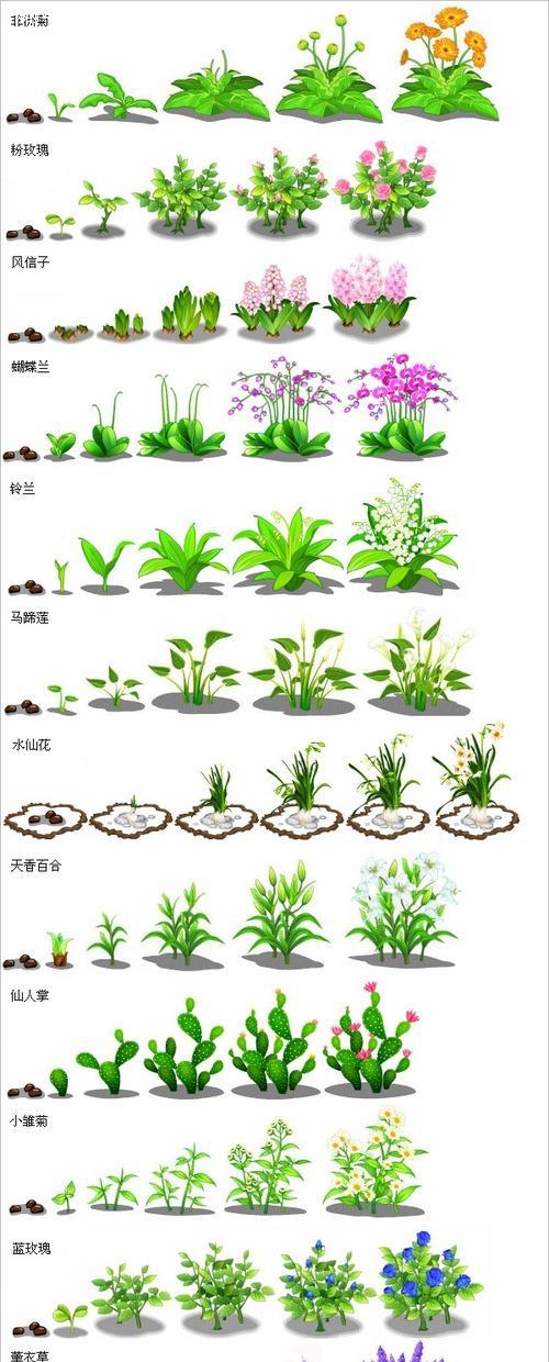 白菜种子发芽需要几天？如何提高发芽率？