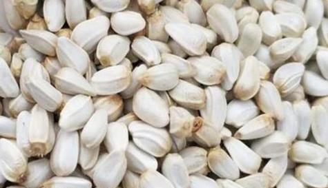 白瓜留种子的最佳方法是什么？留种过程中需要注意哪些问题？