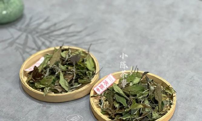 白露茶属于什么茶？白露茶的分类和特点是什么？