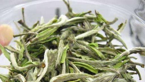 白牡丹属于什么茶？白牡丹茶的分类和特点是什么？