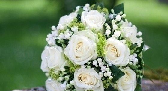 白色玫瑰代表什么？花语含义有哪些疑问解答？