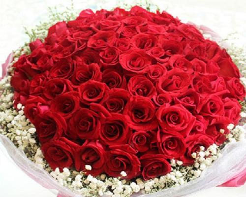 100朵玫瑰代表什么意思？花语背后的深层含义是什么？