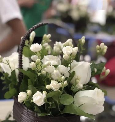 茉莉花长什么样子？茉莉花代表什么含义？