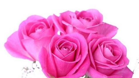 12朵玫瑰花语是什么？送花时需要注意什么？