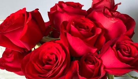 14朵玫瑰的花语是什么？送花时需要注意什么？