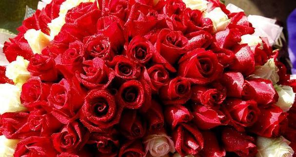 17朵玫瑰的花语是什么？如何正确表达爱意？