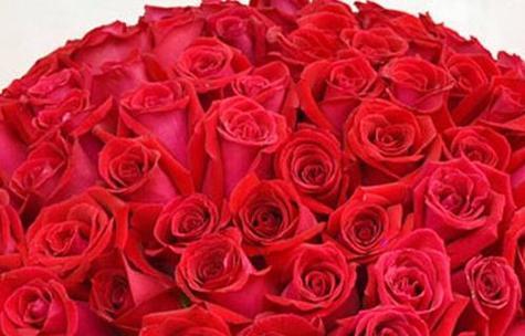 17朵玫瑰花花语是什么意思？送花时需要注意什么？
