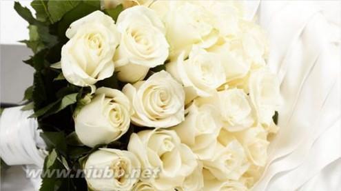 20朵玫瑰的花语是什么？送花时应该注意什么？