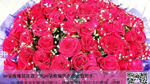 21朵玫瑰的花语是什么？含义有哪些疑问？