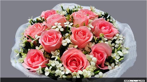 25朵玫瑰花的花语是什么？代表了哪些情感含义？