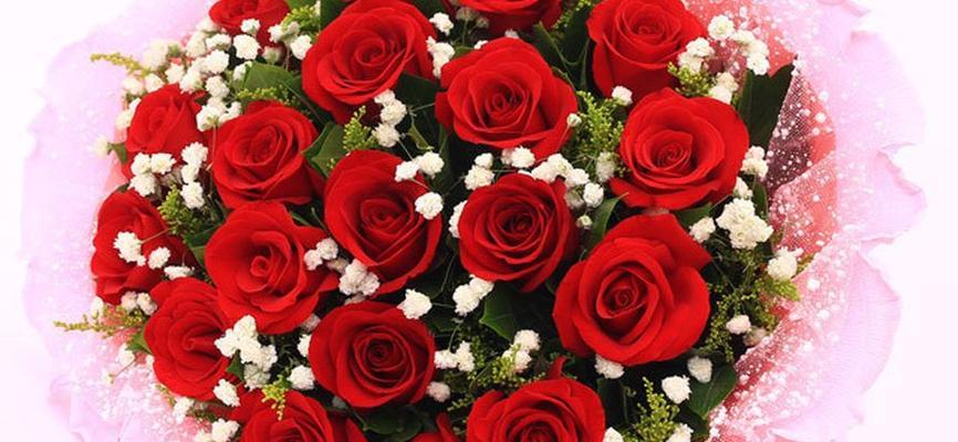 49朵玫瑰花代表什么含义？花语解读及送花建议是什么？