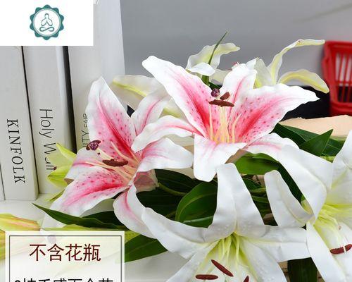白百何花的含义是什么？白百何花代表的象征意义有哪些？
