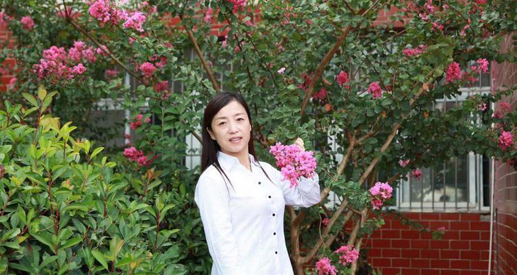 代表老师的植物有哪些？它们各自有何象征意义？