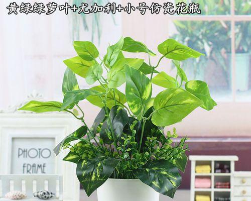 代表礼仪的植物有哪些？它们各自象征着什么？