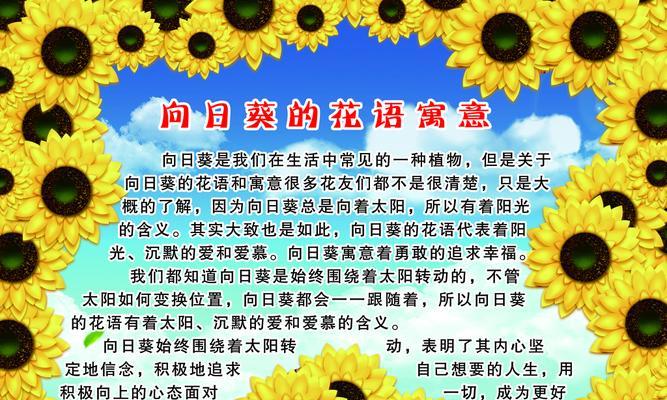 鸽子花的花语含义是什么？如何正确理解鸽子花的象征意义？