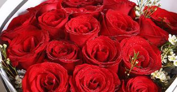 九朵玫瑰花代表什么？九朵玫瑰花的花语含义是什么？