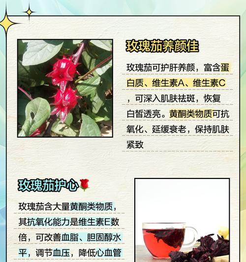 玫瑰主治功效是什么副作用
