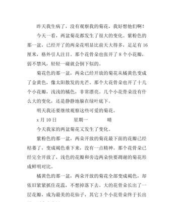 研究菊花后的感想作文600字