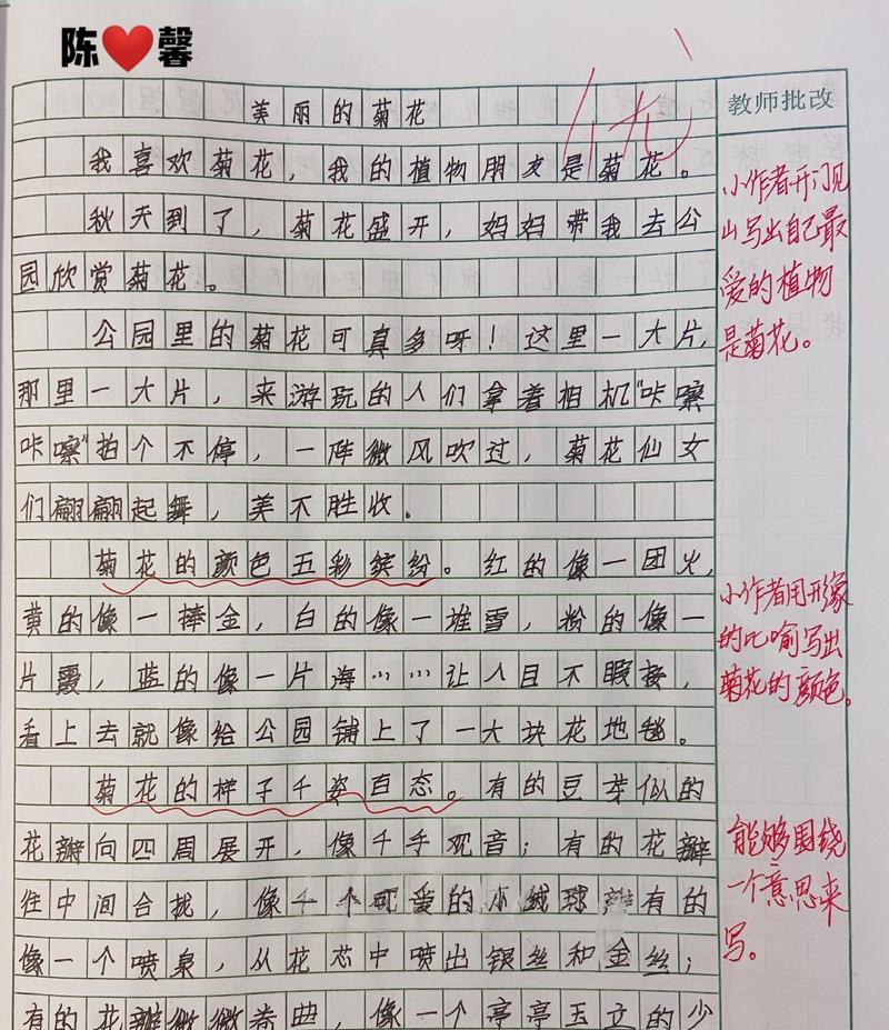 赞美菊花品质作文300字三年级