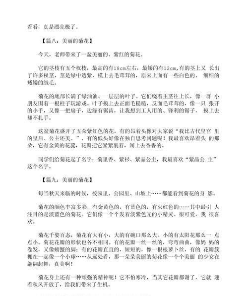 关于菊花的优美片段300字怎么写的