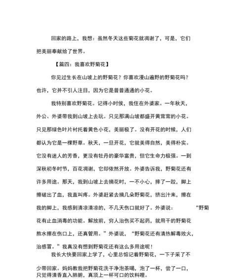 菊花的形状描写片段300字左右说明文