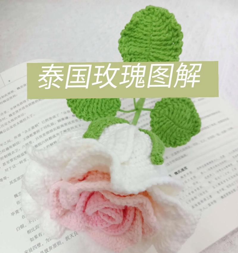 玫瑰花教程钩针渐变图解大全图片