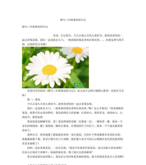 菊花的描写句子有哪些？能否提供300字的片段？