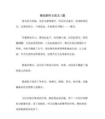 菊花的描写句子有哪些？能否提供300字的片段？
