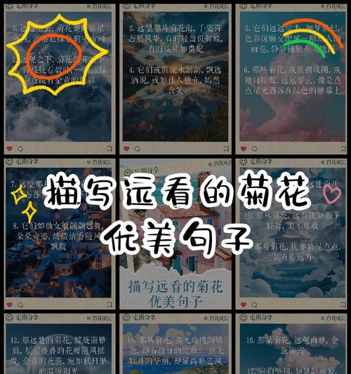 优美菊花句子有哪些？如何摘抄短句？