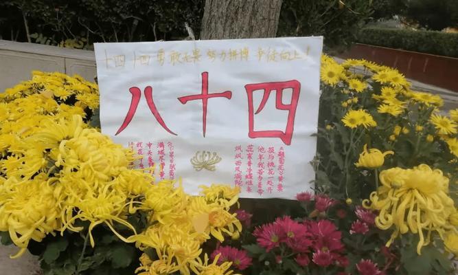 如何优雅地结束一篇关于菊花的文章？