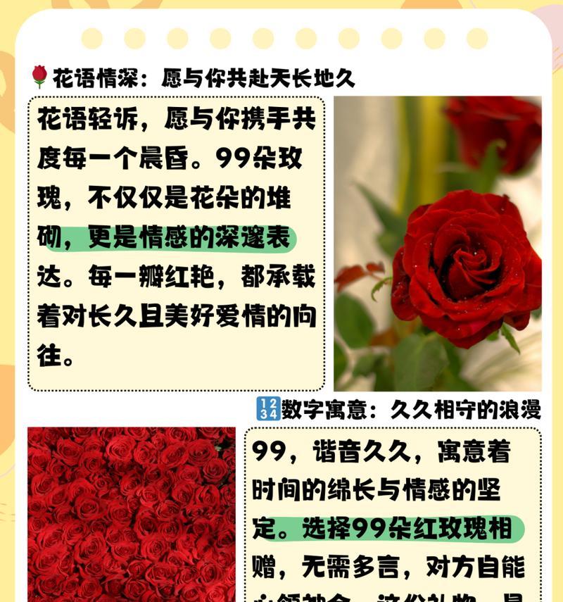 2299朵玫瑰花的含义是什么？视频教学视频在哪里可以找到？