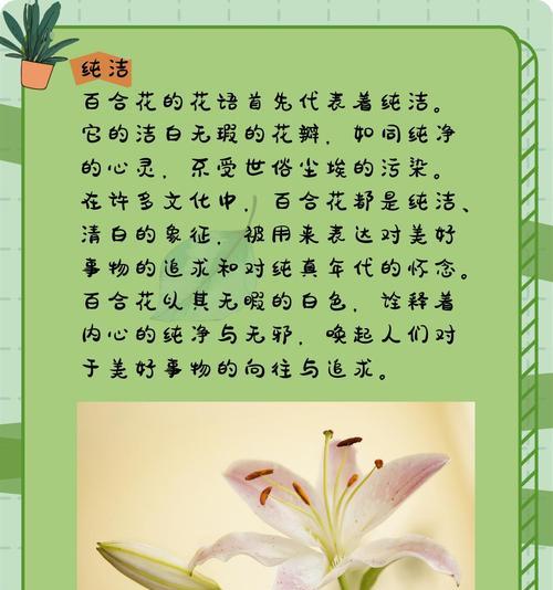 玫瑰百合的花语有哪些？